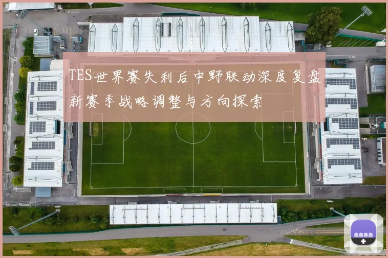 TES世界赛失利后中野联动深度复盘新赛季战略调整与方向探索